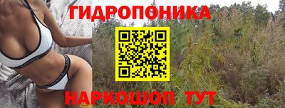 СК Заводоуковск