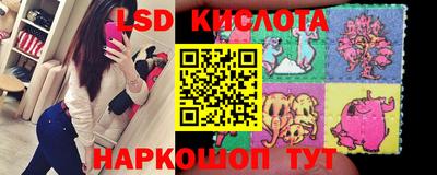 СК Заводоуковск