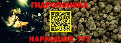 СК Заводоуковск