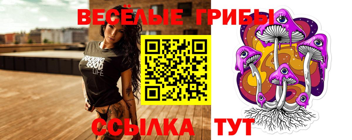 Псилоцибиновые грибы Cubensis  купить  цена  Красноярск  Вход с VPN 
